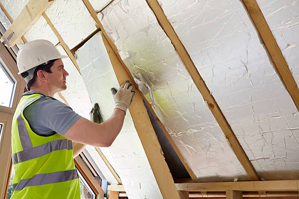 Best Insulation for Specific Applications in St Pete Beach, FL